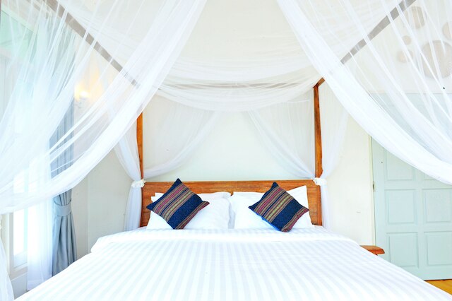 ステイクション