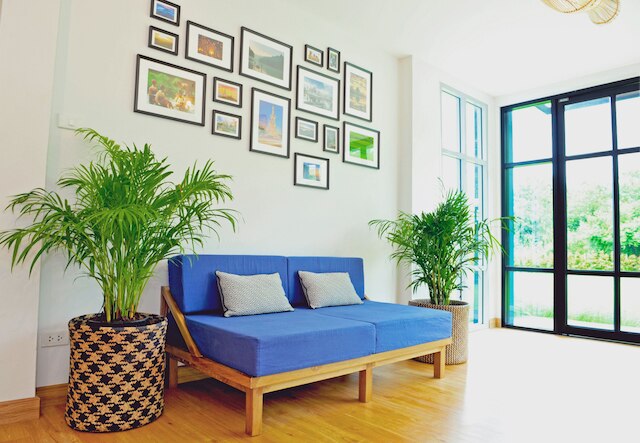 ステイクション