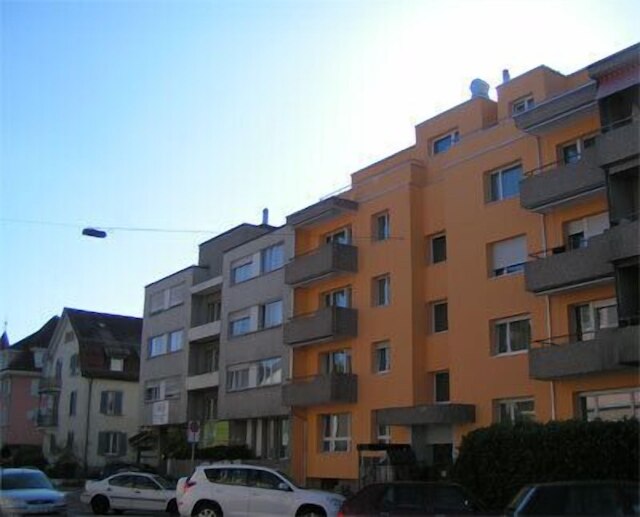 スイス スター ディストリクト 11