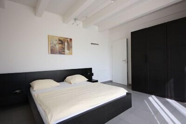 スイス スター ディストリクト 11