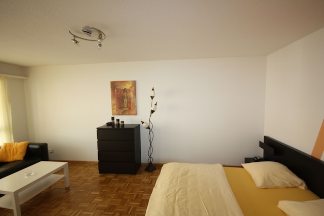 スイス スター ディストリクト 11