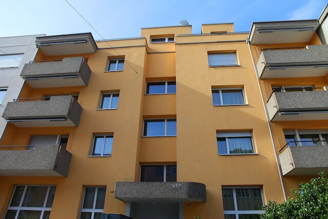 スイス スター ディストリクト 11