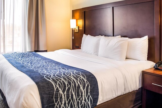 コンフォート イン & スイーツ ナイアガラ フォールズ ブルバード USA