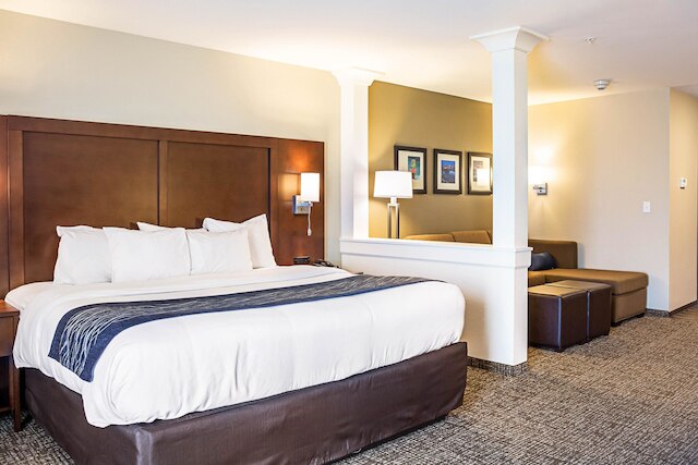 コンフォート イン & スイーツ ナイアガラ フォールズ ブルバード USA