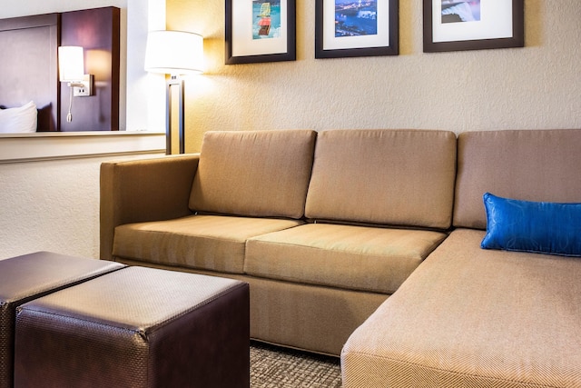 コンフォート イン & スイーツ ナイアガラ フォールズ ブルバード USA