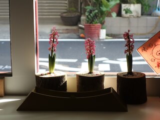 ラワ ハウス - ホステル (拉瓦宅旅人驛站)