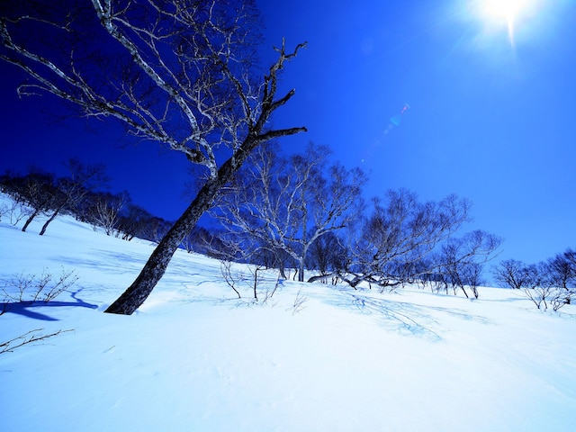 湯沢スキーハウス