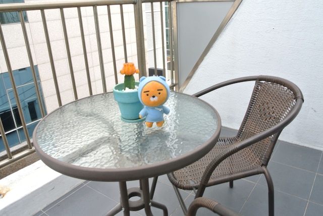 シャイア ホテル