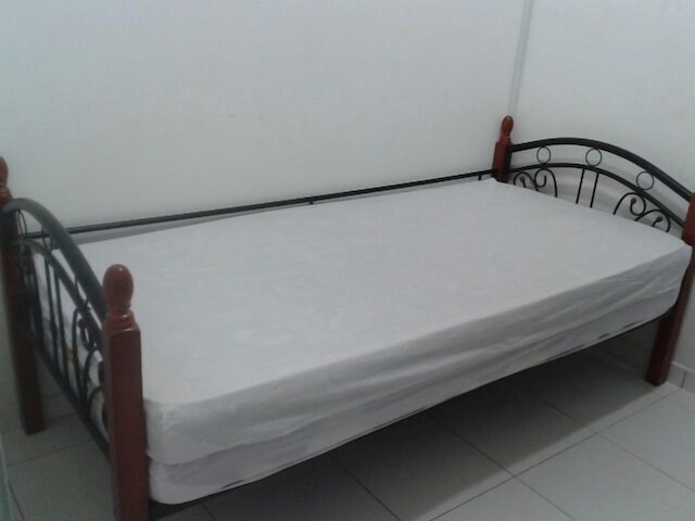 オーロラ ホームステイ