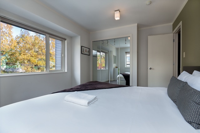 ファーストトラックス