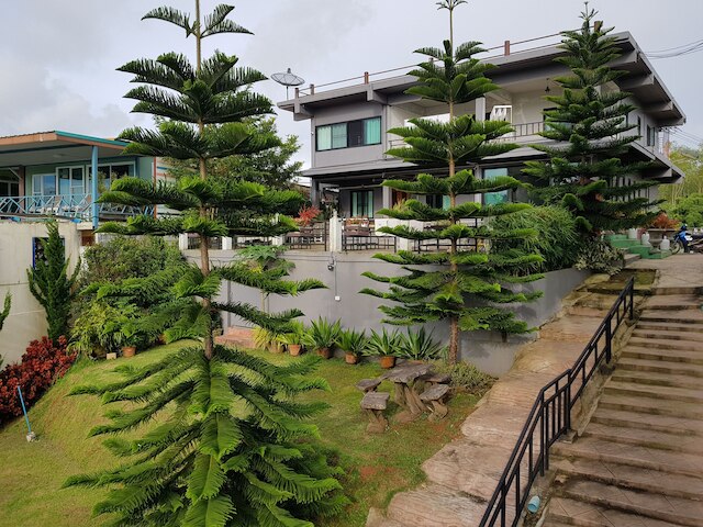 トンコー アット ホーム