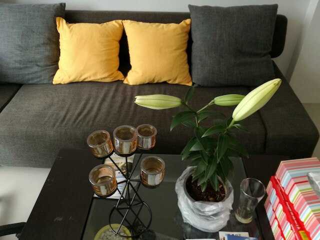 バーン デア ブルイン