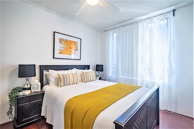 ボンディ ビーチ オアシス