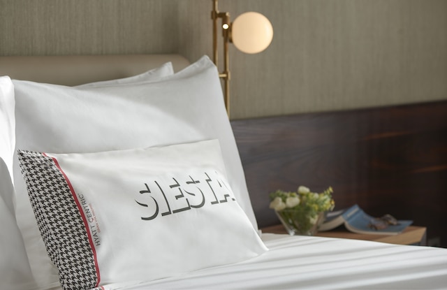 ハイアット セントリック グラン ヴィア マドリッド