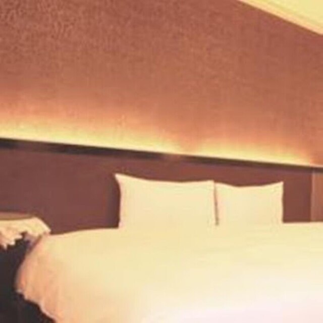 プーイス ビジネス ホテル (普邑斯商務旅館)