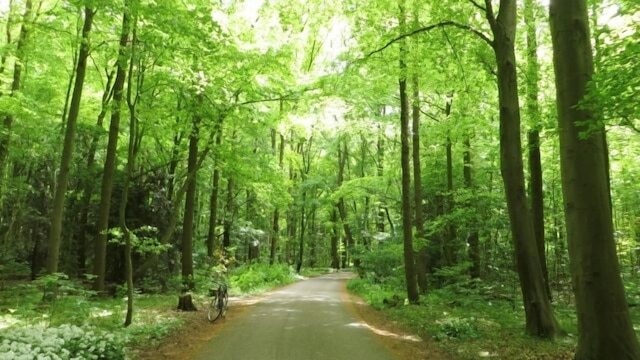 ペンション ペーパームーン