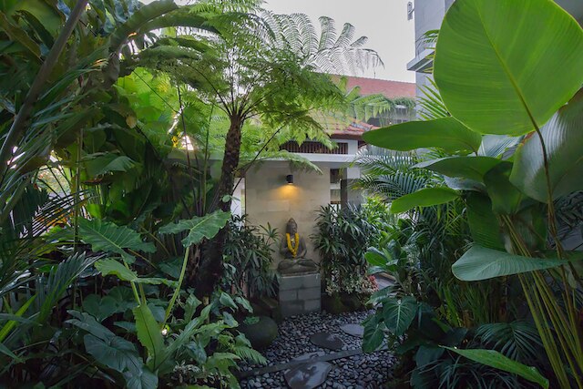 ジャニーズ プレイス コテージ