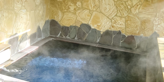 ペンション 金鱗湖 豊の国