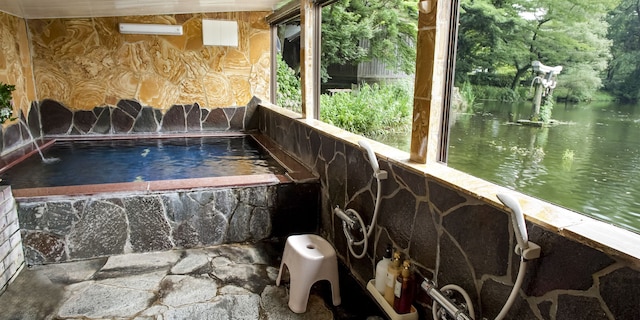 ペンション 金鱗湖 豊の国