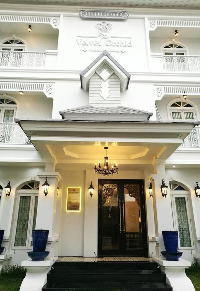 ザ ベルベット オーキッド