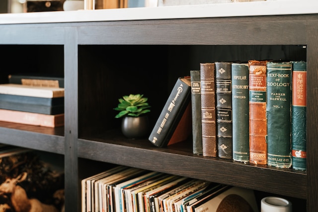 ルネッサンス セント エルム ダラス ダウンタウン ホテル