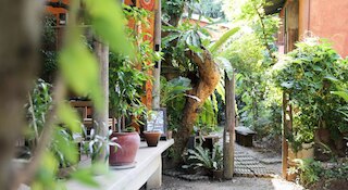 バーンノイ ノルンムアン ホーム