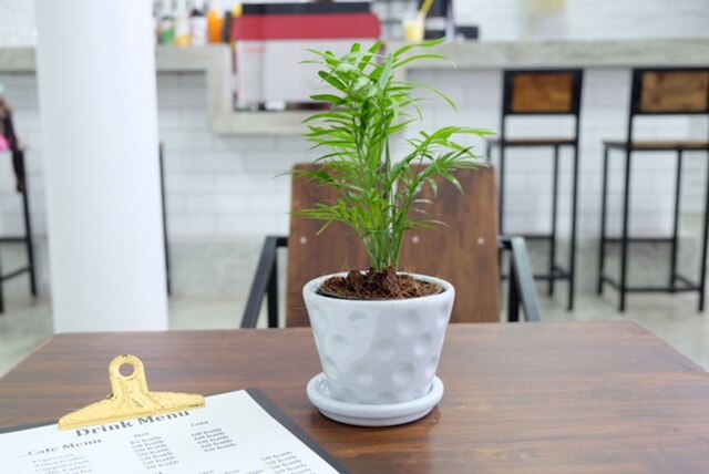 バックパック ステーション - ホステル