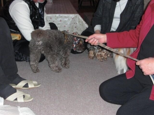 ペンション白馬 OZ