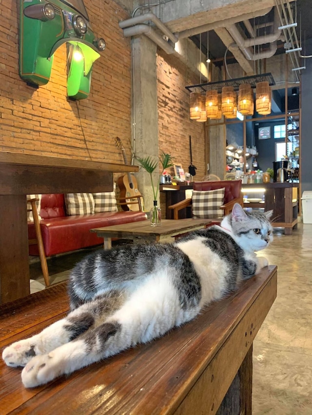 サンネタ ホステル チェンマイ