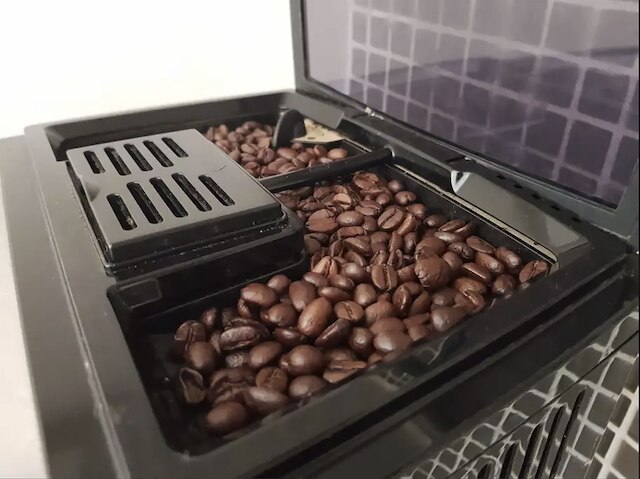 メルボルン バイ ザ ボタニカル ガーデンズ