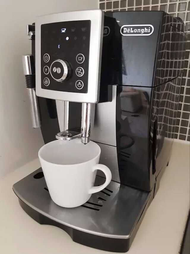 メルボルン バイ ザ ボタニカル ガーデンズ