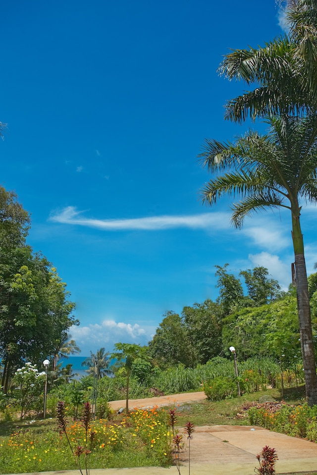 シー ビュー リゾート