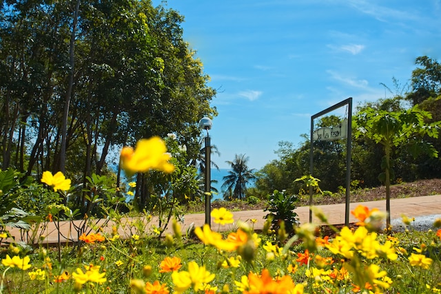 シー ビュー リゾート