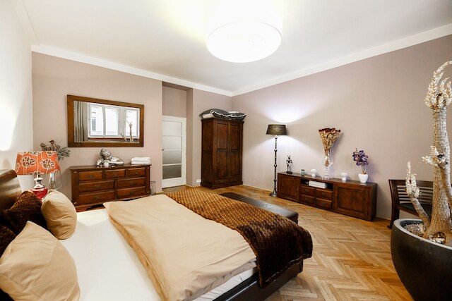 アパートメント デラックス リブナ 25