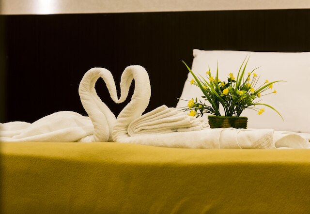 アジャンタ コンフォーツ