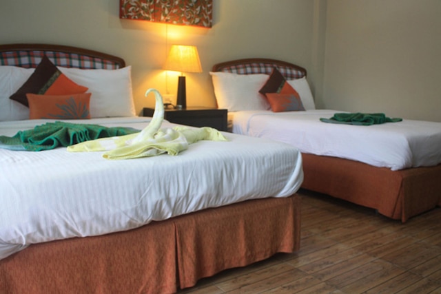 ライプレダ ホームステイ