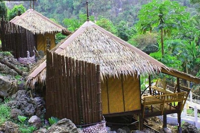 ライプレダ ホームステイ