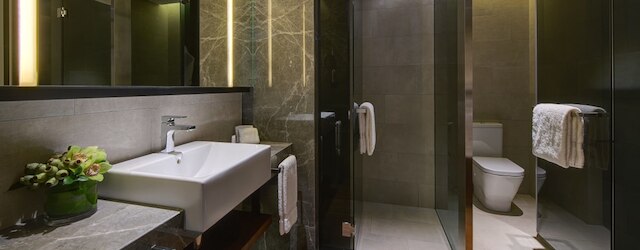 ル メリディアン ペタリン ジャヤ