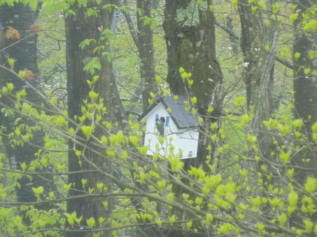 ペンション アンティーク