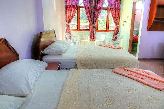 ザ ルーム コンセプト ホームステイ