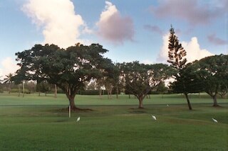 タートル ベイ ハレ モクラニ***TA-055745536001  1 ベッドルーム コンド バイ レッドオーニング