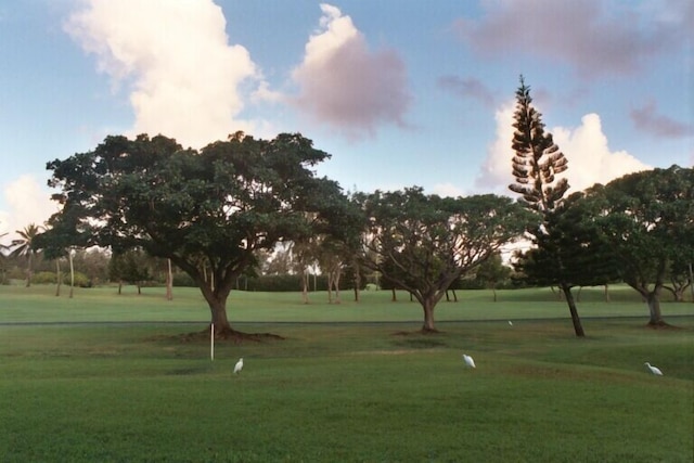 タートル ベイ ハレ モクラニ***TA-055745536001  1 ベッドルーム コンド バイ レッドオーニング