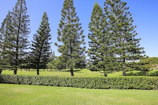 タートル ベイ ファジオ ファースト ティー 13**NッC 90 - Tヴー-0579  1 ベッドルーム コンド バイ レッドオーニング