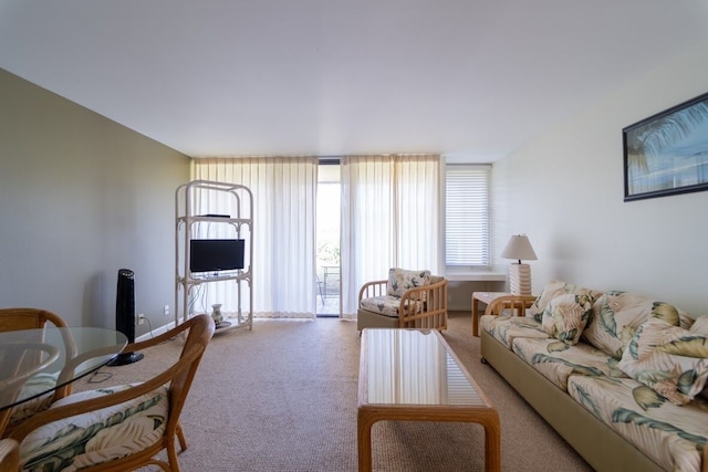 タートル ベイ ガアヴァ **タA-009966796801  1 ベッドルーム コンド バイ レッドオーニング