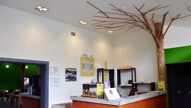 モーション チュエカ - ホステル