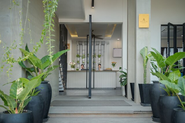 アンコール オーロラ