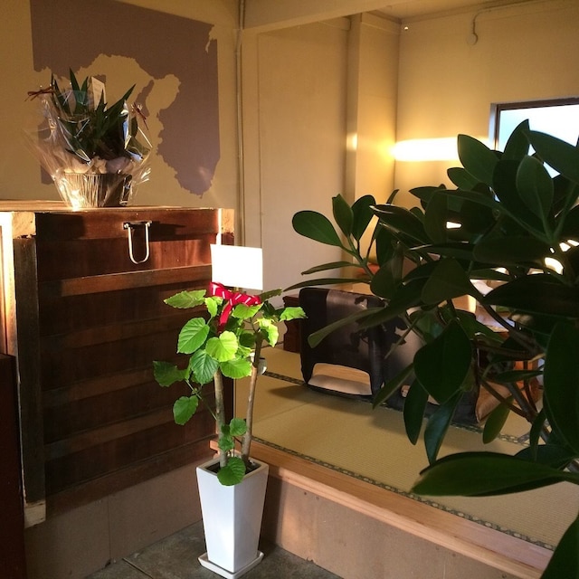 サナインタウン