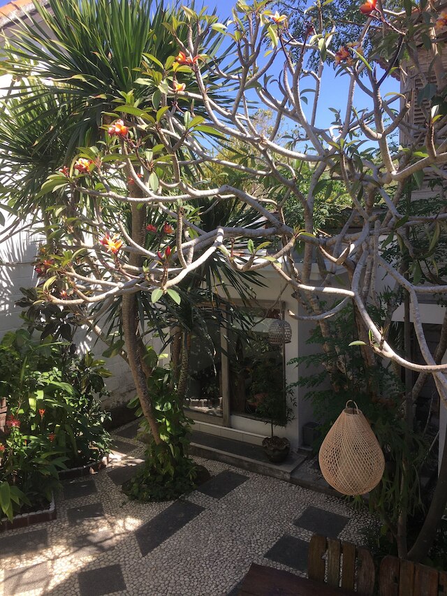 パダン パダン ブリーズ