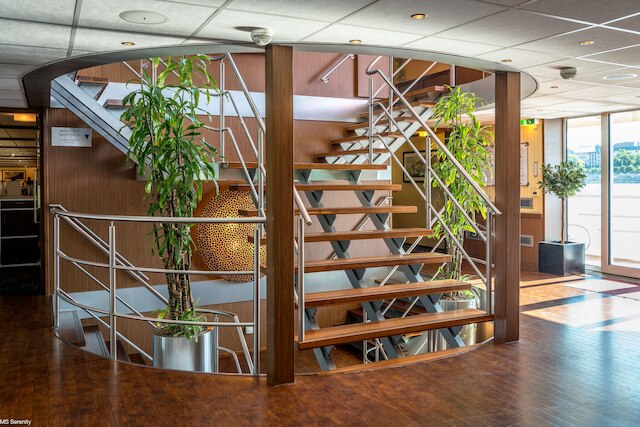 セレクト MS セレニティ - ノイス