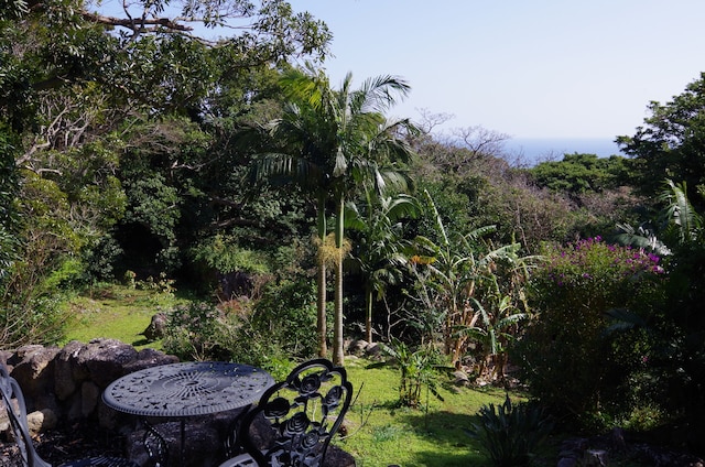 コテージヴューズ